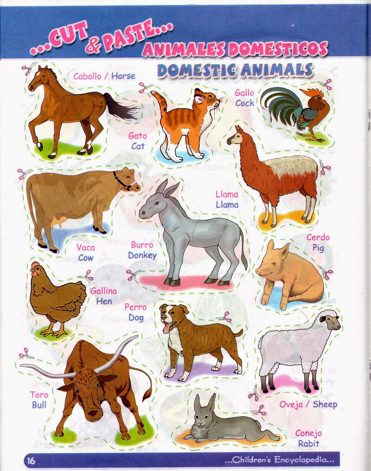 Domestic animals
